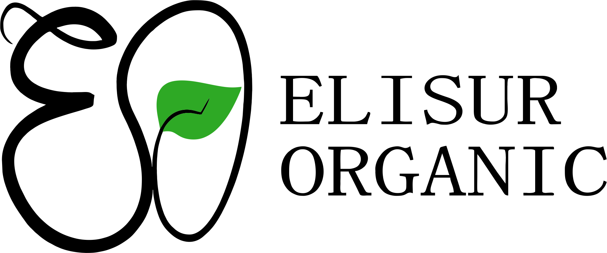 Logo del sistema